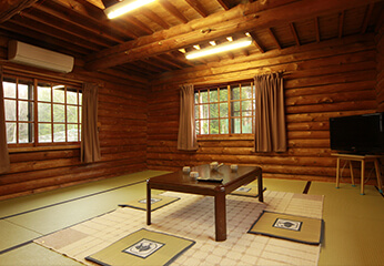 Only 1 pair 1 day Log Cottage