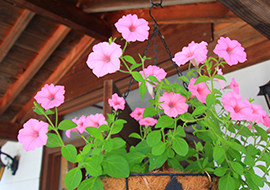 玄関・フロント